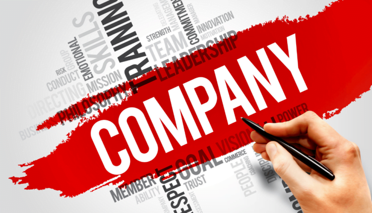 Company क्या है और कंपनी की विशेषताएं कंपनी के प्रकार