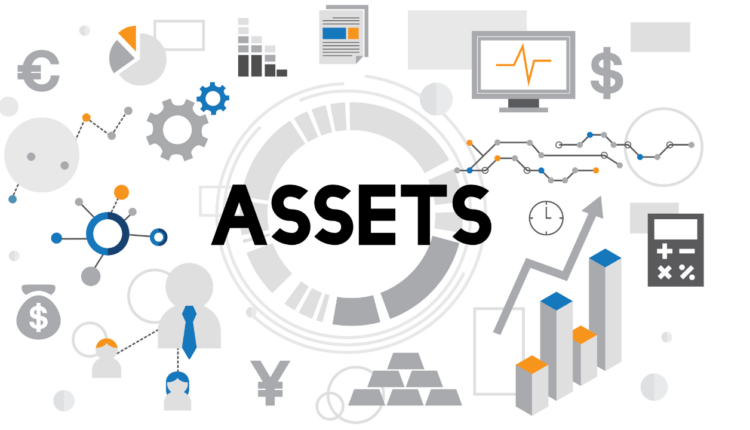 Meaning of Assets in hindi | What is Assets ?| Assets in hindi [2022]