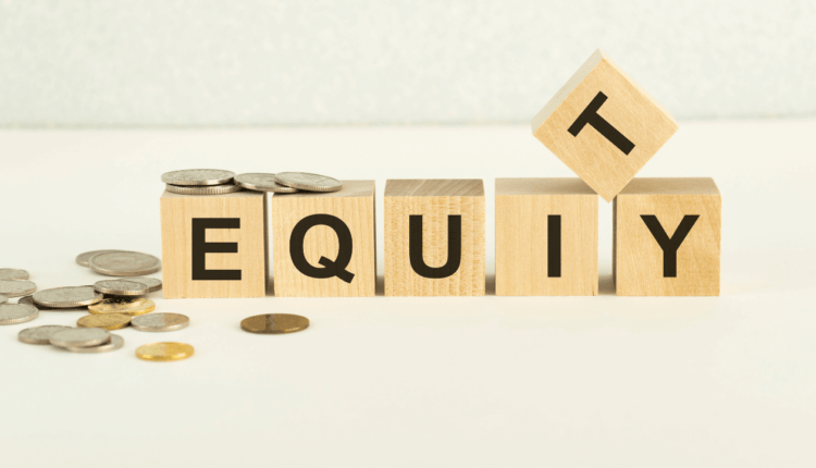 Meaning of Equity in Hindi What is Equity [2022]