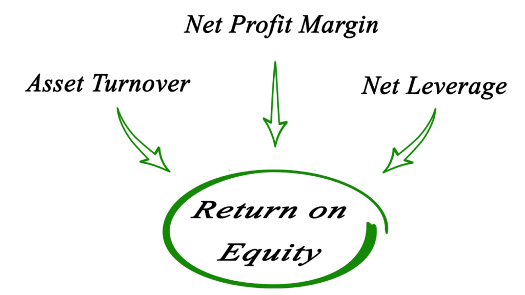 ROE meaning in Hindi Return On Equity 